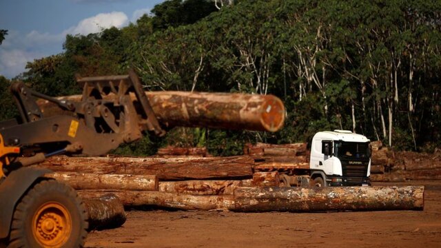 Gakkum KLHK Tangkap Pelaku Illegal Logging di Sumatera Barat