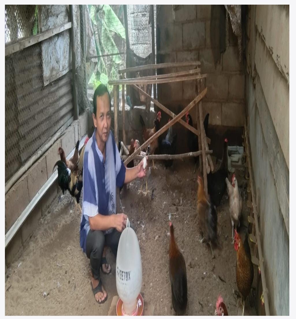 Telur Ayam Kampung
