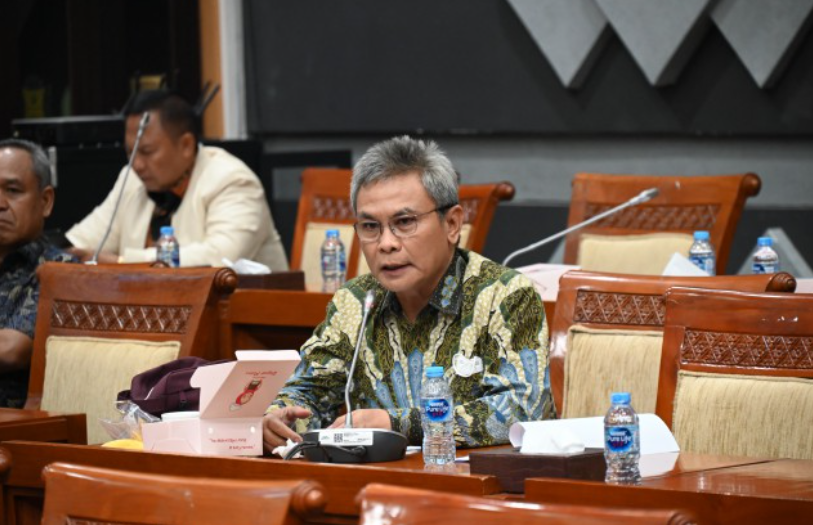 Johan Budi