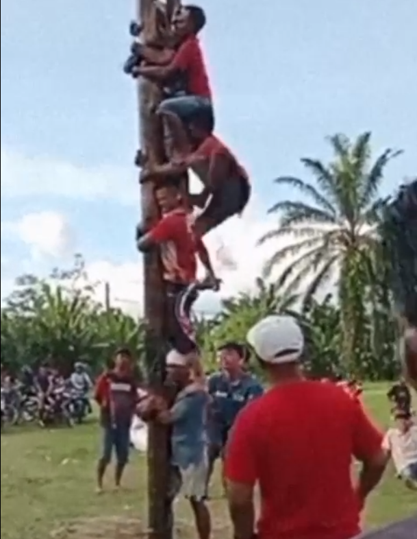 Panjat Pinang