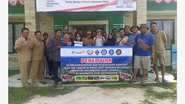 Lestarikan Ikan Endemik Babel, PT Timah Dukung Penelitian Ikhtiofauna Air Tawar