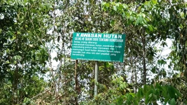 Tambang Ilegal Rusak Kawasan Hutan Gunung Tagen di Bangka Selatan