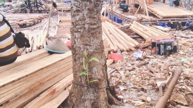 Belum Ada Tindakan Tegas Dari APH Terkait Tambang Timah di Laut Penagan, Ada Apa ?