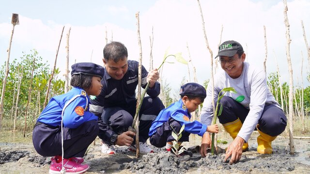 PT Timah Tbk Tanam Ribuan Mangrove dan Ratusan Pohon Buah di Wilayah Operasional