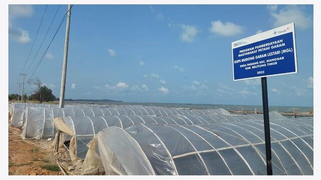 Pasca Terima Bantuan dari PT Timah Tbk, Produksi Garam KUPS Mudong Meningkat  