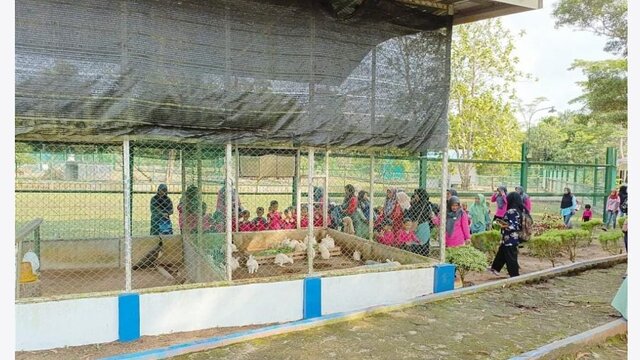 Kundur Park PT Timah Tbk  Tempat Belajar & Melihat Satwa bagi Siswa TK Bina Permata