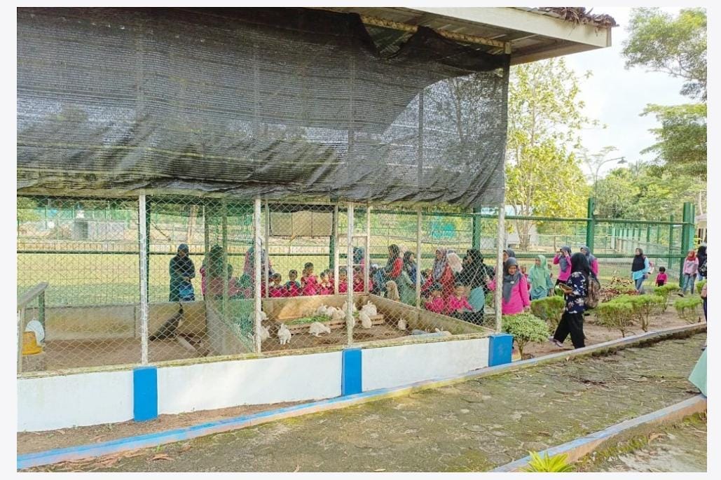 Kundur Park PT Timah Tbk  Tempat Belajar & Melihat Satwa bagi Siswa TK Bina Permata