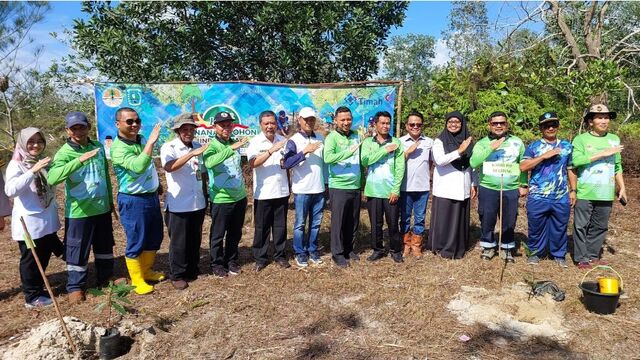 Pulihkan Lingkungan, PT Timah Tbk dan Pemkab Belitung Bersinergi Tanam Pohon di Bekas Tambang