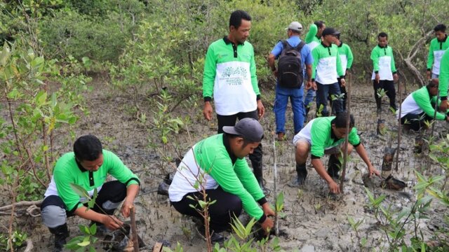 Menjaga Lingkungan dan Mendukung Net-Zero Emission, PT Timah Tbk Tanam Mangrove di Kundur Barat