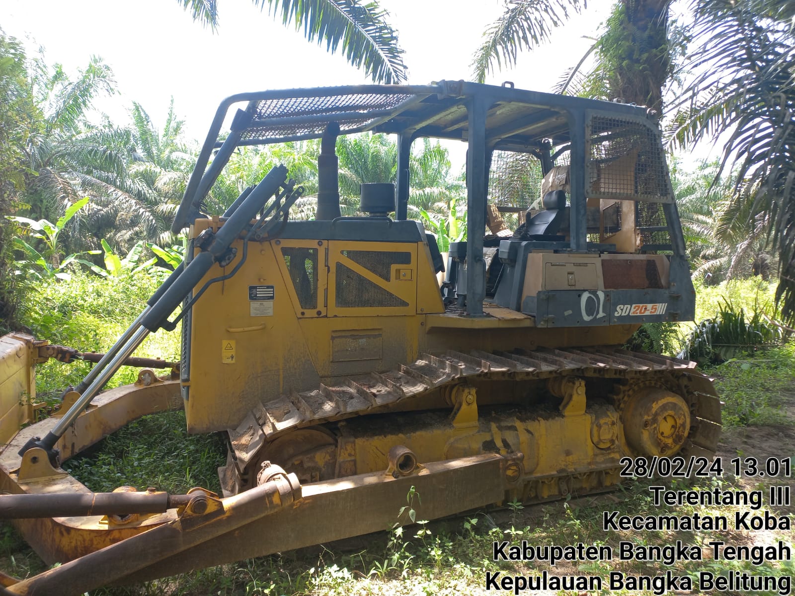 Aon Koba