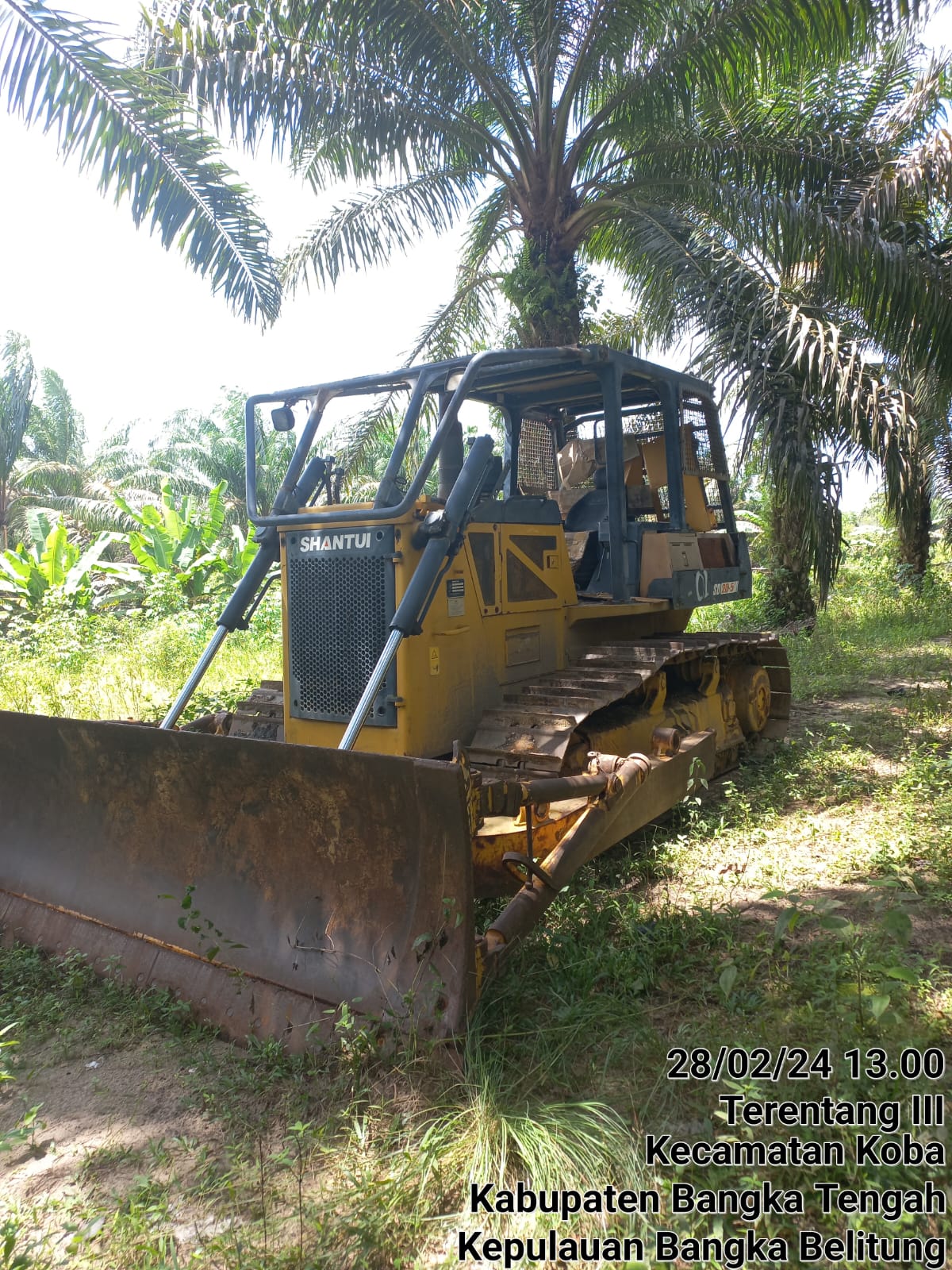 Aon Koba Ditangkap