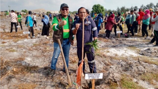 Semarak Babel, PT Timah Tbk Bersama Pemkab Bangka Tanam Pohon di Kawasan Pantai