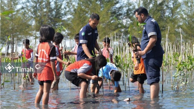 Peringati Hari Mangrove Sedunia, PT Timah Tanam 4800 Mangrove