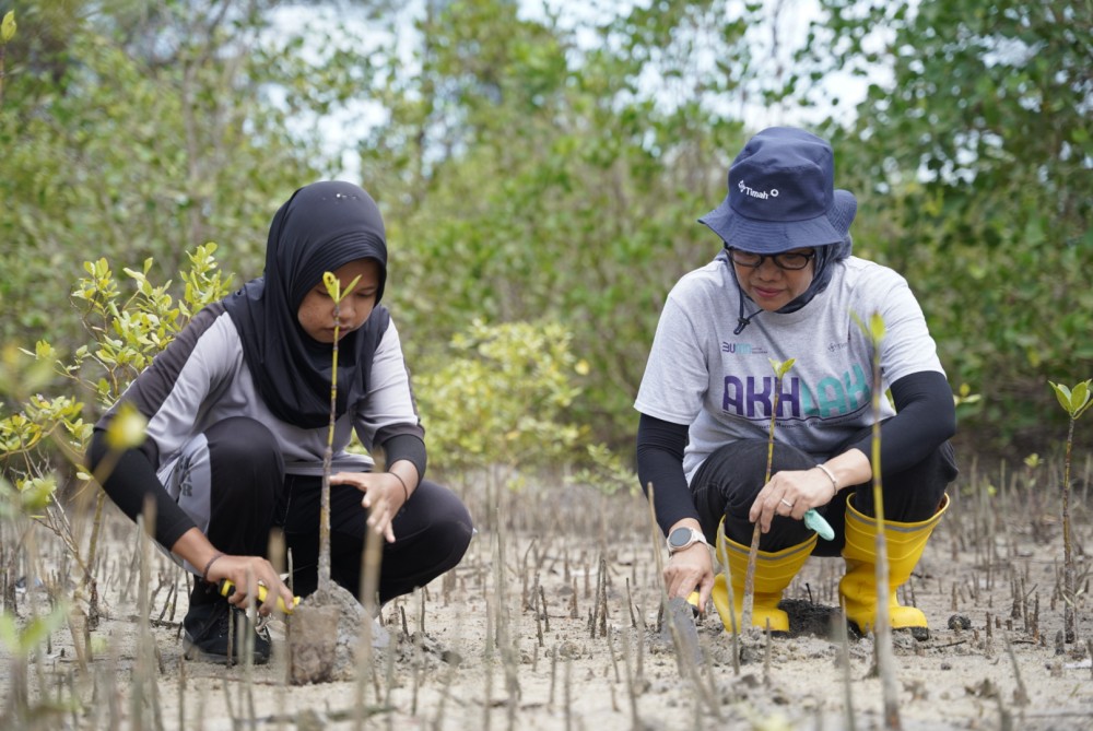 Komitmen PT Timah Tbk Dalam Pengelolaan Lingkungan yang Berkelanjutan