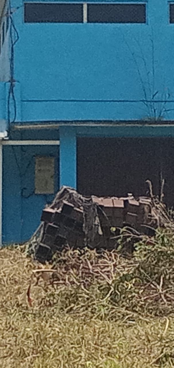 Pabrik Es