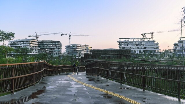 Dukung Konsep Smart and Forest City, Sebagian Wilayah IKN Terisi Ruang Terbuka Hijau
