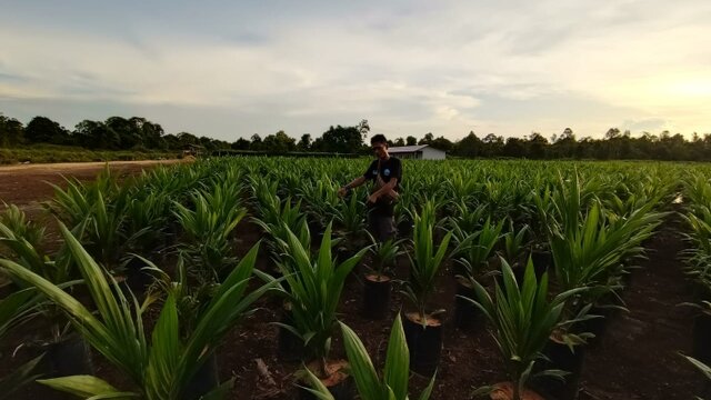 Koperasi BTBB Diduga Catut Nama KLHK, Albert: Itu Bodong, Mereka Tak Ada Surat Kementrian