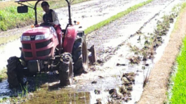 Program Pengadaan Traktor Rp 379,9 Miliar Diduga Bermasalah, MPHP Minta BPK dan KPK Bertindak