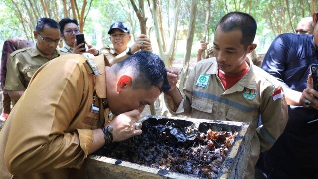 Inilah 4 Kawasan di Pangkalpinang yang Akan Dikembangkan Jadi Objek Wisata dan Edukasi