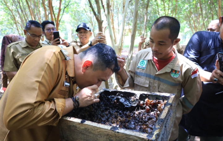Inilah 4 Kawasan di Pangkalpinang yang Akan Dikembangkan Jadi Objek Wisata dan Edukasi