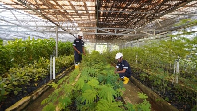 Prioritas Utama PT Timah : Menata Lahan Bekas Tambang Dengan Konsisten Melakukan Reklamasi
