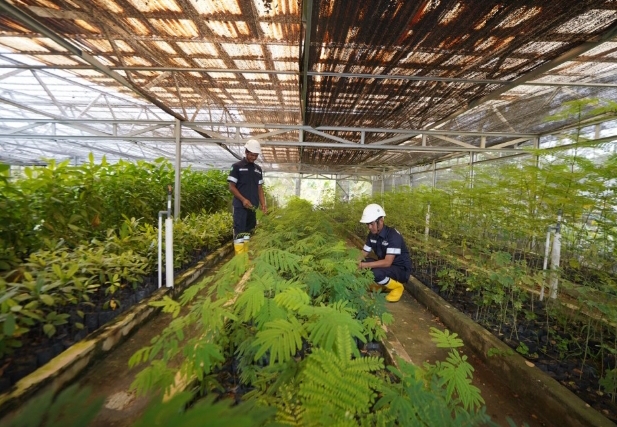 Prioritas Utama PT Timah : Menata Lahan Bekas Tambang Dengan Konsisten Melakukan Reklamasi