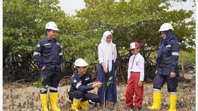 Hingga Juli 2024, PT Timah Telah Menanam 32.000 Pohon Mangrove