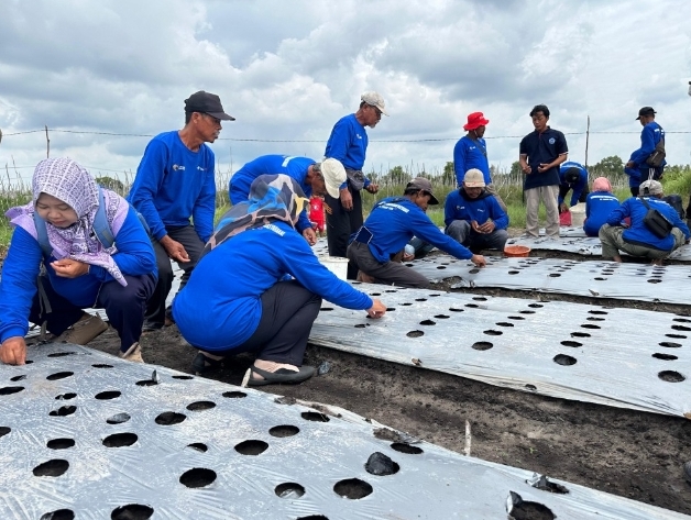 Tingkatkan Wawasan Petani, TINS Gelar Pelatihan Budidaya Bawang Merah di Beltim