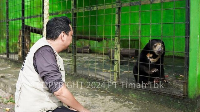 Hari Hewan Sedunia: PT Timah Bersama PPS Alobi Lestarikan Satwa di Lahan Bekas Tambang