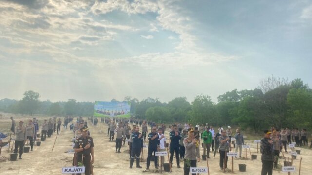 PT Timah Dukung Gerakan Penanaman Satu Juta Pohon di Provinsi Bangka Belitung