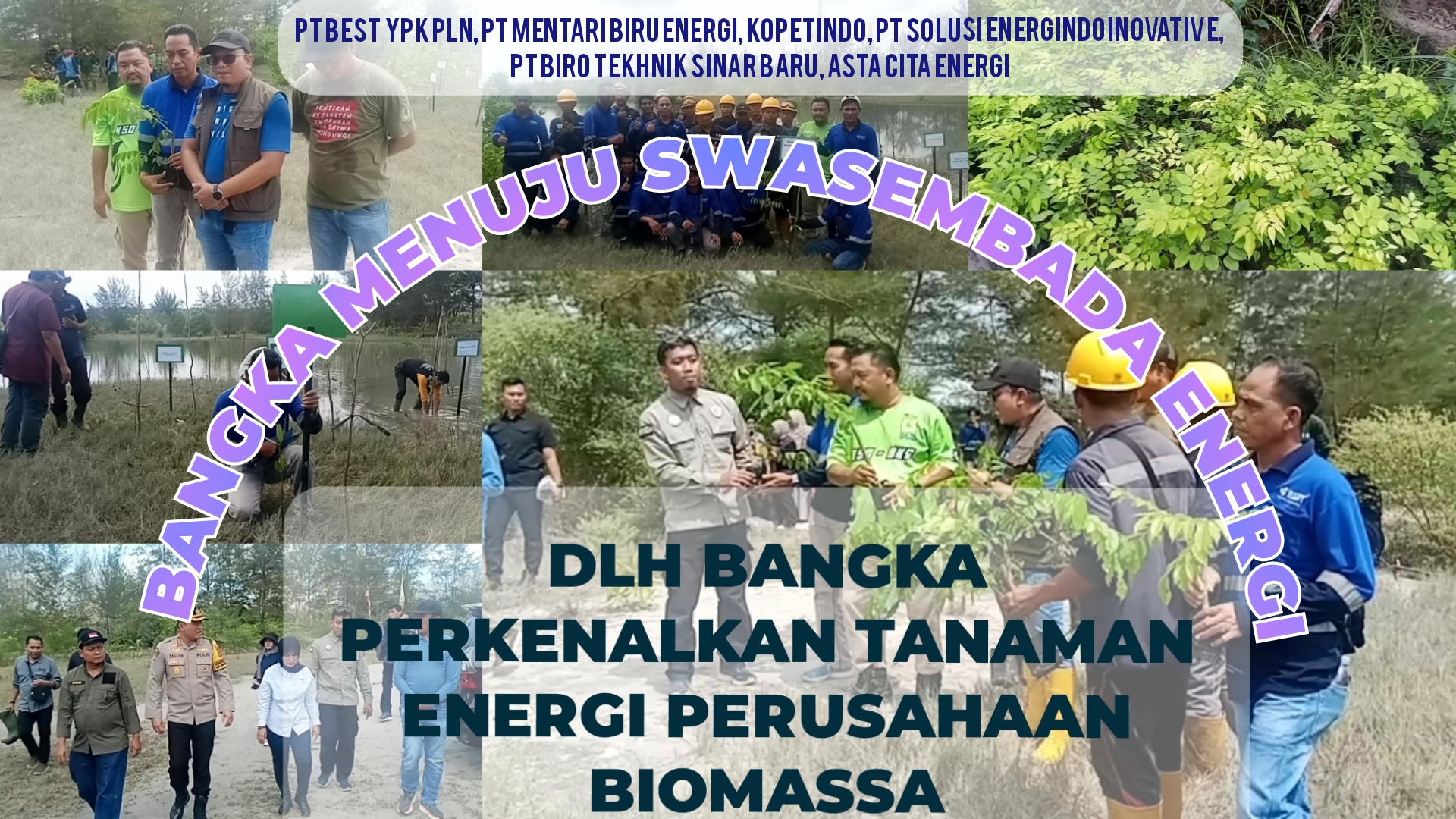 Video : DLH Bangka Perkenalkan Tanaman Energi Perusahan Biomassa