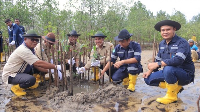Cegah Abrasi, PT Timah Tanam Ribuan Mangrove Bersama Warga Kundur Barat