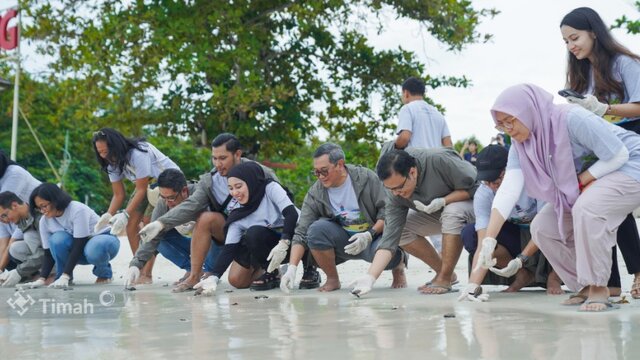 PT TIMAH dan Grup MIND ID Lepasliarkan 74 Tukik di Belitung