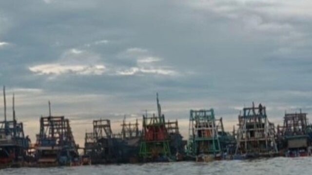 IW Bocel Diduga Koordinator PIP Ilegal, Mangrove Terabek Terancam Punah