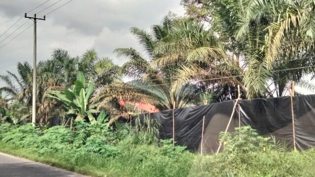 Oknum TNI Beking Tambang Ilegal di Bangka Tengah, Polisi Dituding Lemah Bertindak