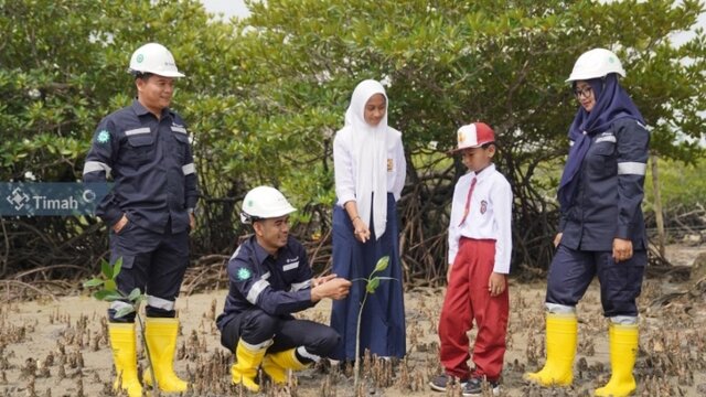 PT Timah Giatkan Penghijauan: Wujudkan Komitmen Lingkungan Berkelanjutan