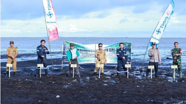 Cegah Abrasi dan Jaga Ekosistem, PT Timah Tanam 3.000 Mangrove di Pantai Sesai Party Beach