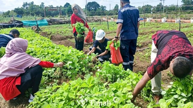Farm Estate Tanjung Ular Ciptakan Kesempatan Kerja Bagi Masyarakat Sekitar