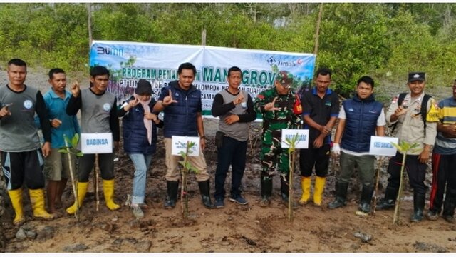 PT Timah Kembali Lakukan Penanaman Ribuan Mangrove di Desa Sawang Laut