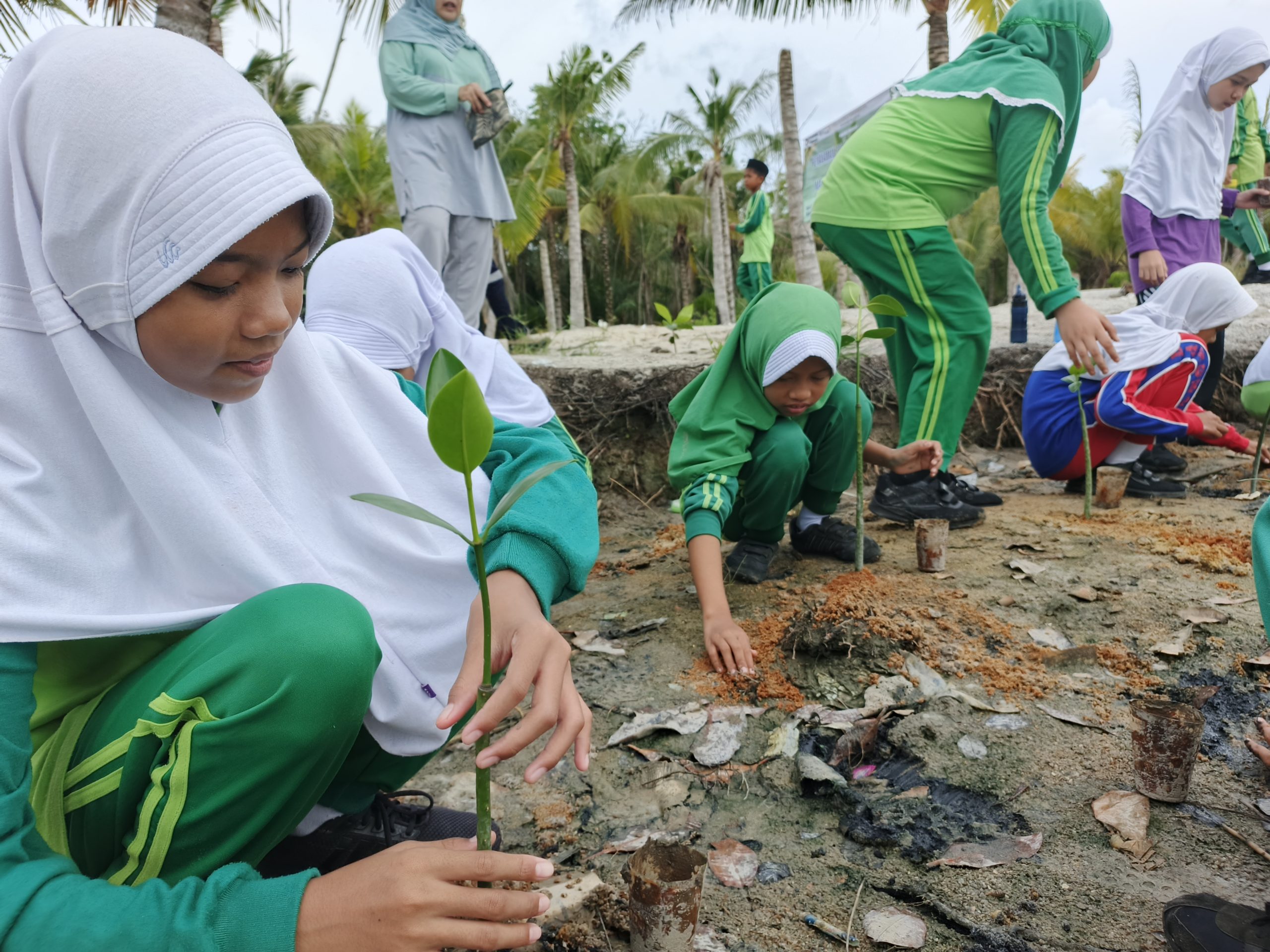 Bukti Kepedulian Terhadap Lingkungan, PT Timah Bersama Siswa MIN 1 Bangka Tanam 300 Bibit Mangrove