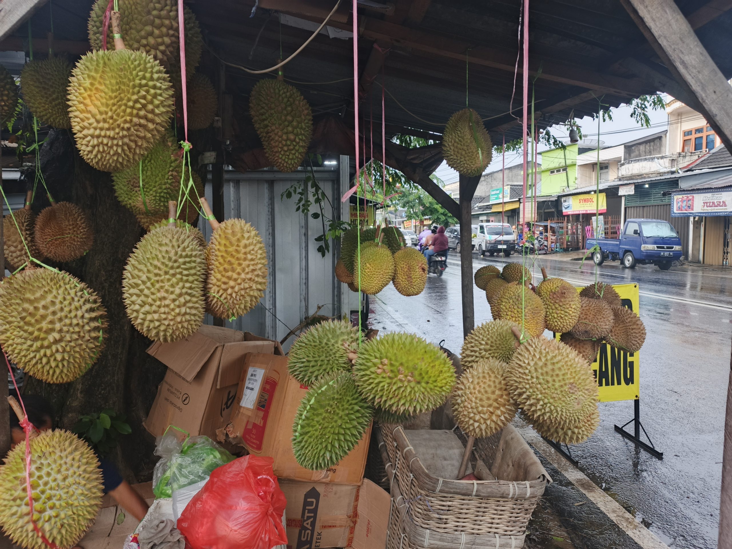 Musim Durian Telah Tiba Di Kota Pangkalpinang, Kualitas Terjamin Harga Terjangkau