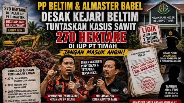 PP Beltim dan Almaster Babel Desak Kejari Tuntaskan Kasus Sawit 270 Hektare di IUP PT Timah, “Jangan Masuk Angin”