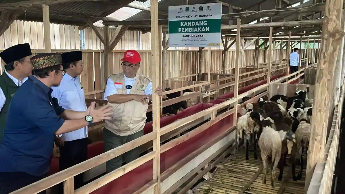 Kegiatan penyembelihan 50 ekor kambing kurban di Balai Ternak BAZNAS Mukti Raharja Desa Sayana Kuningan saat Idul Adha 2026