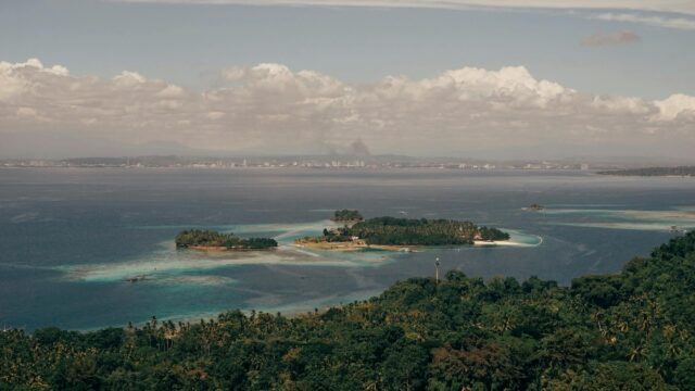 Bagaimana Pulau Ini Selamatkan Serangga Langka?