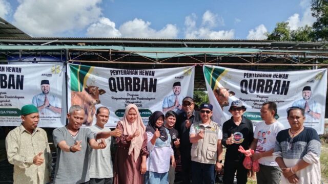 Arsari Tambang Group Tebar Kepedulian Iduladha, 2 Ekor Sapi Kurban Dibagikan untuk Masyarakat Babel