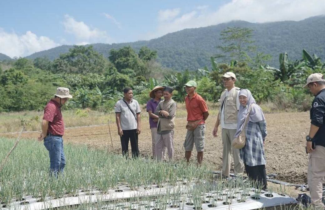 Bupati Bateng Tinjau Kebun Bawang Merah di Lubuk Pabrik