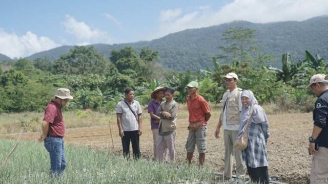 Bupati Bateng Tinjau Kebun Bawang Merah di Lubuk Pabrik