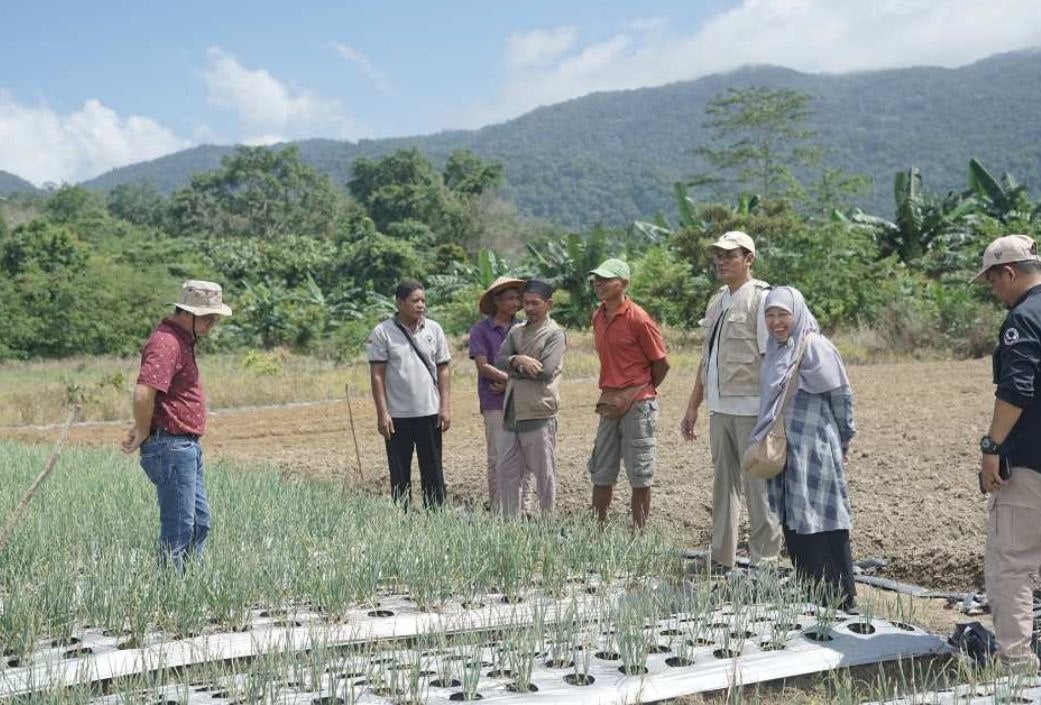 Bupati Bateng Tinjau Kebun Bawang Merah di Lubuk Pabrik