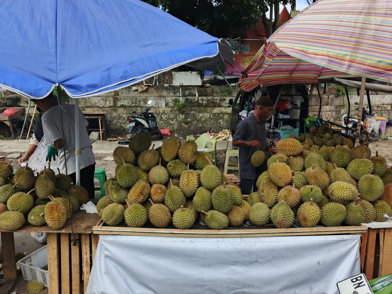 Musim Durian Tiba di Bangka Belitung