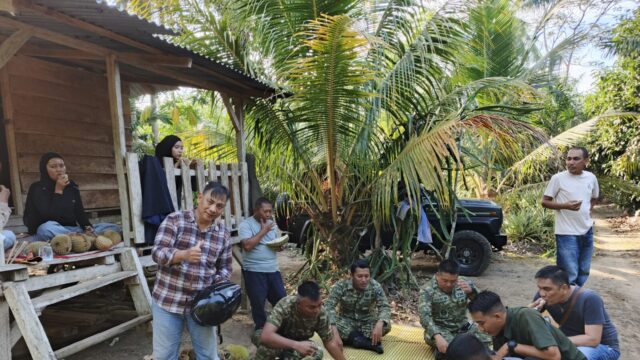 Surga Durian di Tanah Bangka, Nikmatnya Menyantap Durian Langsung di Kebun